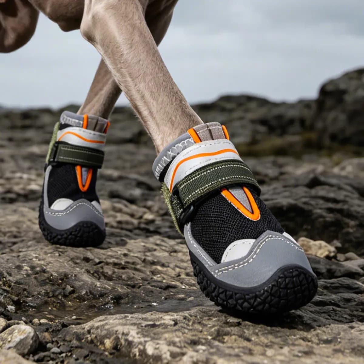 Dog Shoes for Outdoor Adventures: A Guide to Fit and Protection