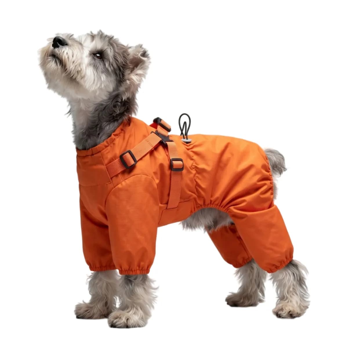 Full Body Dog Rain Jacket, 4-Legged Waterproof Dog Coat with Built-in Harness